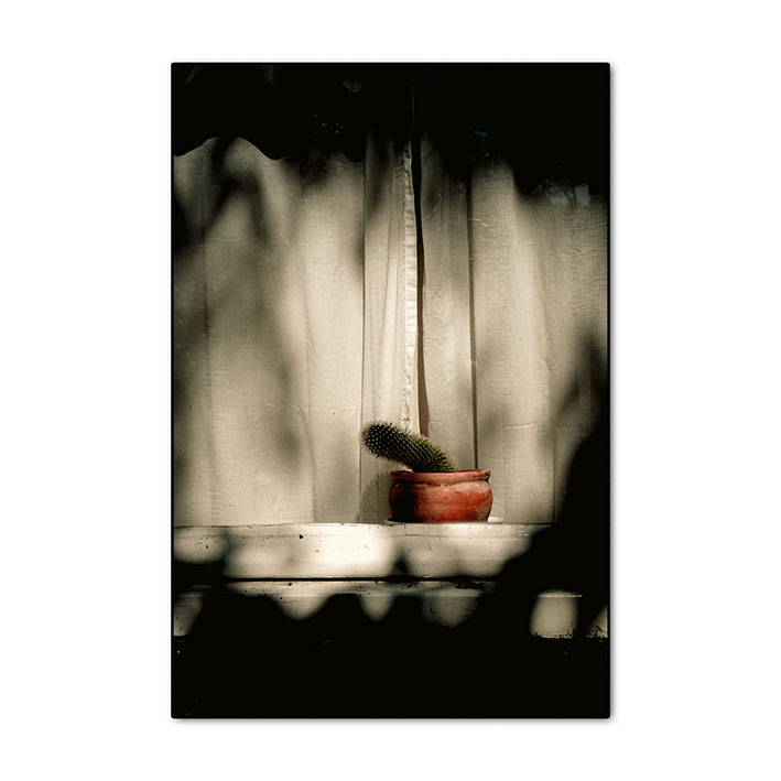 Michiel van Mens, dutch photographer, streetphotography,storytelling, color, pictures, photograph, sony alpha 6400, imagemaker, comics, silkscreen print, Amsterdam, Algorithms, Mathematica