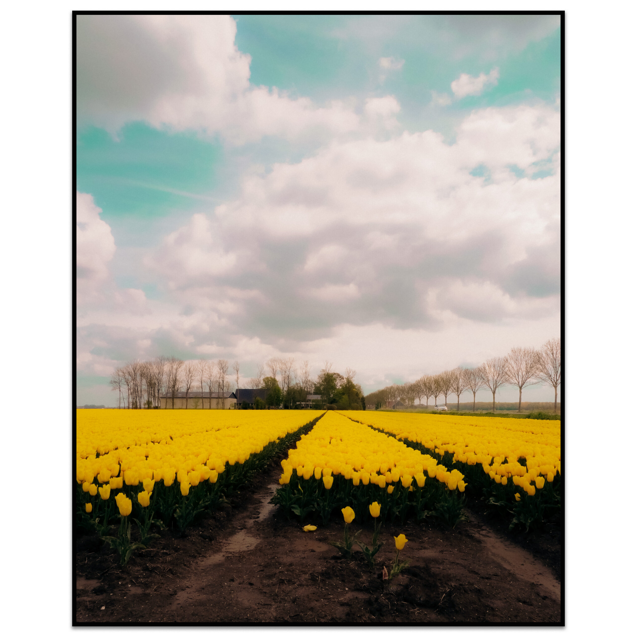 Michiel van Mens, dutch photographer, streetphotography,storytelling, color, pictures, photograph, sony alpha 6400, imagemaker, comics, silkscreen print, Amsterdam, Algorithms, Mathematica
