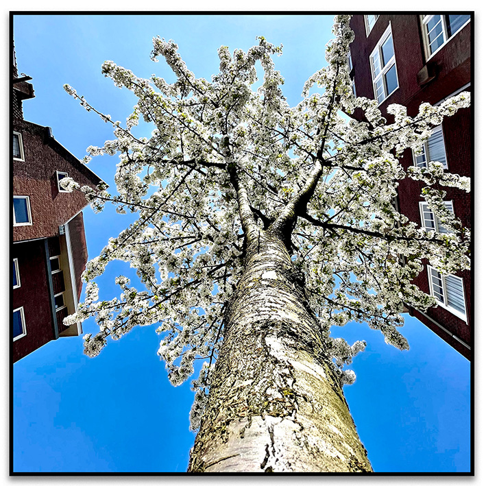 Michiel van Mens, dutch photographer, streetphotography,storytelling, color, pictures, photograph, sony alpha 6400, imagemaker, comics, silkscreen print, Amsterdam, Algorithms, Mathematica